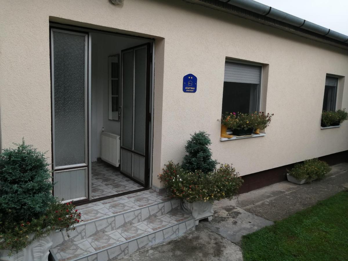 Green Apartment Novi Sad Dış mekan fotoğraf