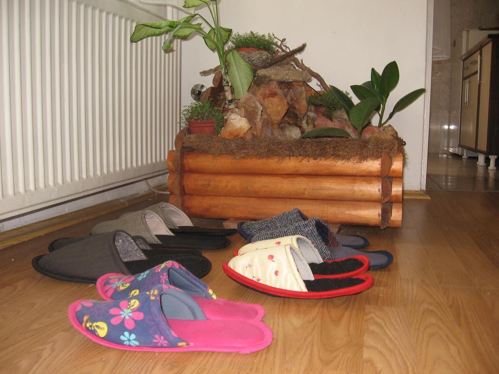 Green Apartment Novi Sad Dış mekan fotoğraf