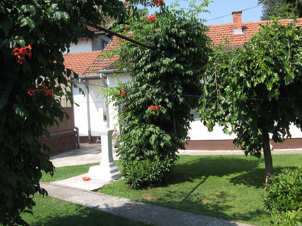 Green Apartment Novi Sad Dış mekan fotoğraf