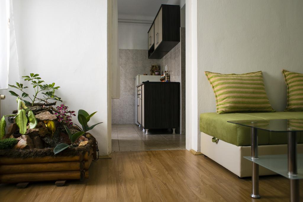 Green Apartment Novi Sad Dış mekan fotoğraf