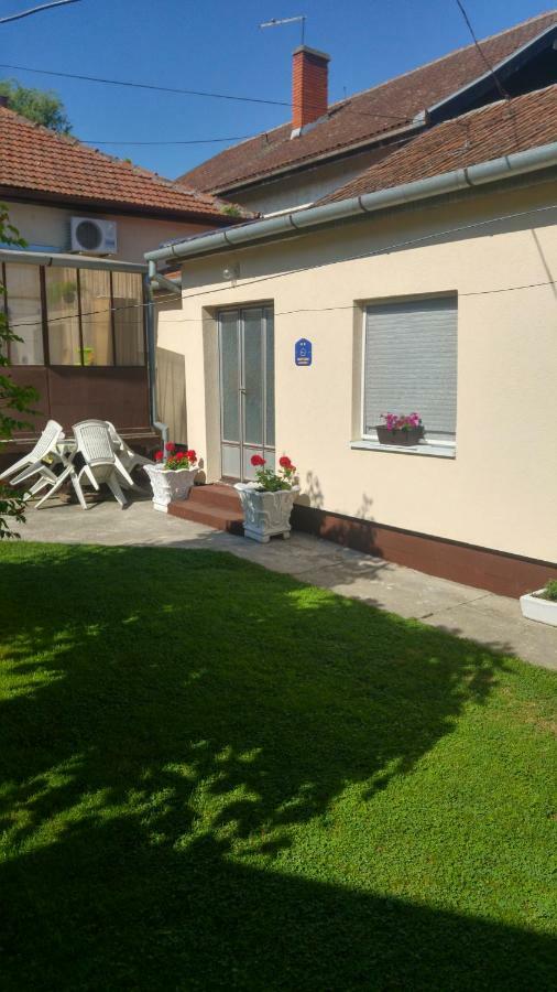 Green Apartment Novi Sad Dış mekan fotoğraf